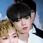 임영민 + 김동현 = MXM