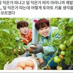 [<b>MXM</b>] 나 2번인데 미리 글 안올린걸 후회중 ㅋ