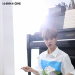 [워너원] <b>순서</b> 궁예 다 뭐였냐...