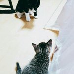 [조언부탁해] 나 지금 너무 쪽팔리고 속상해