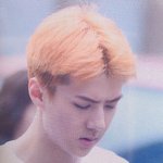 [세훈] 170721 뮤뱅 재출근<b>2</b> 프리뷰<b>1</b>