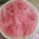 [댓글부탁해] 이거 <b>수박</b>모자이크 병이야????