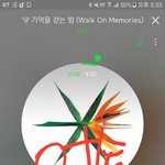 [EXO] 그냥 이거 팬들은 스밍 죽어라돌리는데