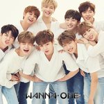 [워너원] 내가 생각하는 우리 워너원 멤버들의 포지션