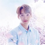 [카이] 카이 주연 <b>일드</b> 봄이왔다 내년 1월 편성