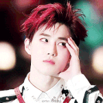 [EXO] 덕질은 역시