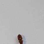 [꼭조언부탁] 살려주세요(혐짤)