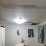 누수로인해 이사가는데 집주인이 보증금 이외에는 아무런 보상도 못해준다고...