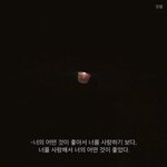 [세븐틴] 애들 서로