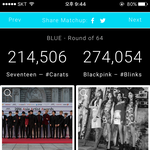 [세븐틴] 미국 투표 하장