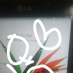 [EXO] 야 근데 <b>폼</b><b>림</b>선착이면 1순위2순위 그건 왜있음?