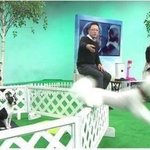 나 실제 말투랑 카톡 말투랑 ㅈㄴ 달라