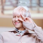 [방탄소년단] 핑몬 돌아왔으면 ㅠㅠㅠㅠㅠㅠ