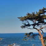 [댓글부탁해] 다들 예전에 찍은 사진 올려보자
