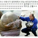 [댓글부탁해] 이거 <b>문장</b> 영어로 만들어 줄 사람ㅠㅠ?