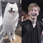 [워너원] ㅅㄷ 정신 차려보면 택배 왔을때 같은 기쁨이...
