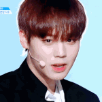 [워너원] 나 윙 입덕계기 되게 <b>평범</b>함