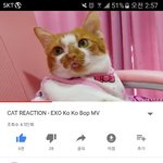 [EXO] 아 _나웃김ㅋㅋㅋㅋㅋㅋ