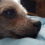 수고했어 까<b>미야</b>..잘가