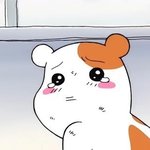 [조언부탁해] 나 너무 힘들어