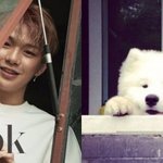 [워너원] ㅅㄷ <b>엽떡</b> 시키고 티저 기다려야지