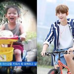 [워너원] 배진영 <b>부스러기</b> 모먼트