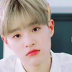 [워너원] 혹시 쇼콘 티켓 나처럼 간선<b>처리</b> 중인 사람ㅜ