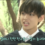 [방탄소년단] 딸기탈출 소년단ㅋㄱㅋㅜㅠ 너무귀여워ㅠㅠㅋㄱㅋ