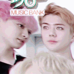 [EXO] 이거 <b>세후</b>니 왜케 인형같냐