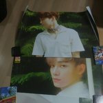 [EXO] ㅅㅂ 개이쁘다