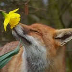 아 <b>금사</b>빠라서