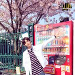 [NCT] 근데 엔시티라이프 비하인드컷같은거 어디서봐??