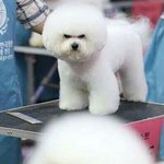 진짜 아프면 고통 못느끼나봄