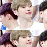 [워너원] 강다니엘 ㄹㅇ <b>홀림</b>