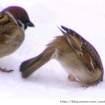 [EXO] 그동안 나가지<b>말라</b>그랬던거 머리 박고 후회함