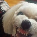 <b>얼</b><b>평</b> 눈팅x 추반이라두