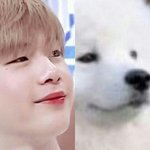 [워너원] <b>니엘</b>이는