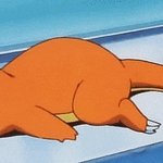 혹시 자기 <b>다리사진</b> 자랑할판녀있오?