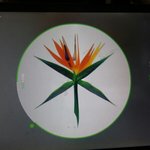 [EXO] 노트북으로 <b>기차</b>다운받으려는데 다운되다가 중단되