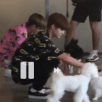 [워너원] 나 사랑에 빠진것같아,,,,