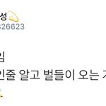 [시우민] 시우민이 벌들한테 <b>공격</b>당한 진짜 이유