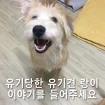 [개깊은빡침] 사진/캡처有 28세 유기녀를 찾습니다