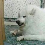<b>코코</b>팜먹고싶다ㅠㅜㅜㅠㅜㅡㅠㅠㅜㅜ