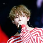 [방탄소년단] 태형이 머리에 펌하는거 좋아하는데