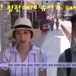 [세븐틴] 헐 이분들이 이분들이었다니....?