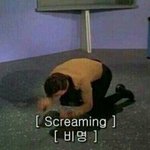 얘들아 유튜브에 졸라기여운애 있음