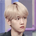 [EXO] 이 움짤 변백이 어떤애 짝사랑중인데
