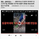 <b>맘충</b>이 여혐인 이유