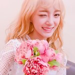 [김세정] 요즘 제대로 꽃길 걷고 있는 김세정