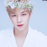[강다니엘] 워너원 강다니엘X박지훈, <b>JTBC</b>도 뜬다…'한끼줍쇼'...